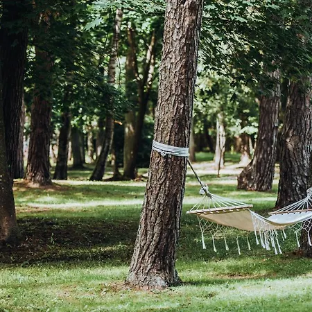 Zilvinas Апарт-отель Паланга