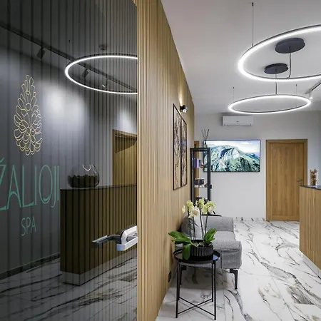 Zilvinas Apartamentų viešbutis Palanga