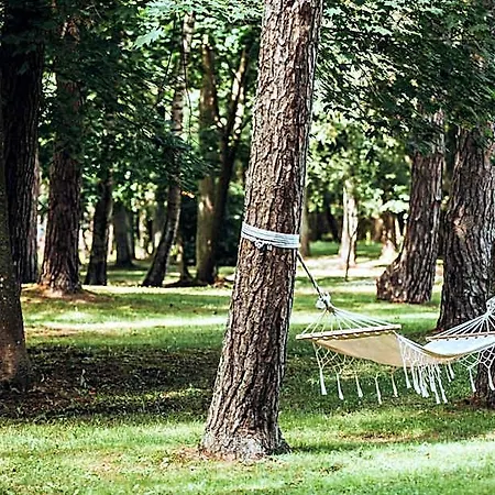 Zilvinas 4*